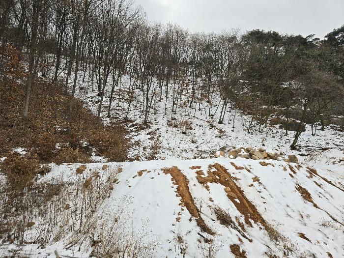 법원경매 2024타경91404 사진12 | 동두천시 동두천동 2-51 임야 경매