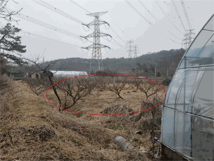 법원경매 2025타경1088 사진4 | 양주시 장흥면 삼하리 376-2 답 경매