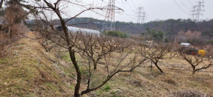 법원경매 2025타경1088 사진7 | 양주시 장흥면 삼하리 376-2 답 경매