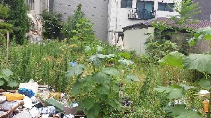 법원경매 2025타경12832 사진17 | 서울 성북구 하월곡동 90-223 대지 경매