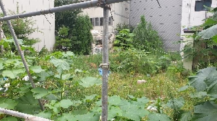 법원경매 2025타경12832 사진18 | 서울 성북구 하월곡동 90-223 대지 경매
