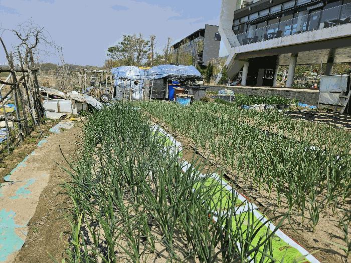 경기도 남양주시 와부읍 팔당리 781 법원경매 물건 대표사진