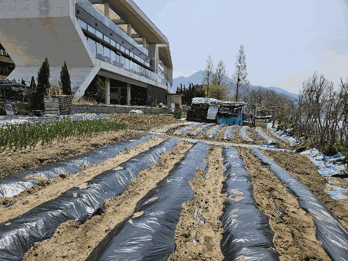 법원경매 2025타경71495 사진5 | 남양주시 와부읍 팔당리 781 하천 경매