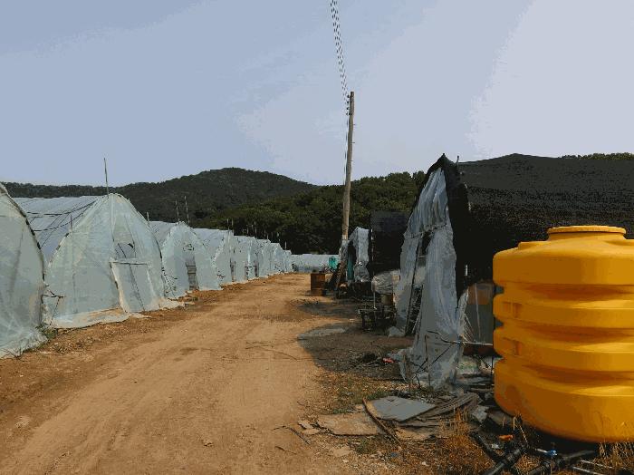 경기도 남양주시 평내동 385-1 법원경매 물건 대표사진