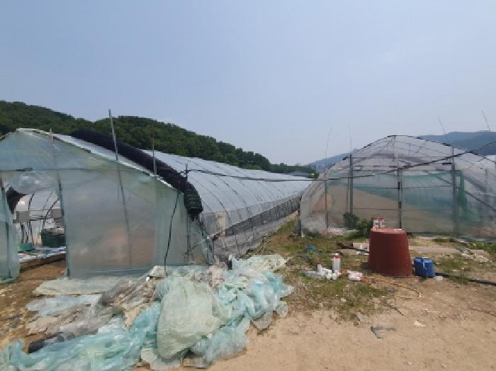 법원경매 2025타경71730 사진10 | 남양주시 평내동 385-1 전 경매