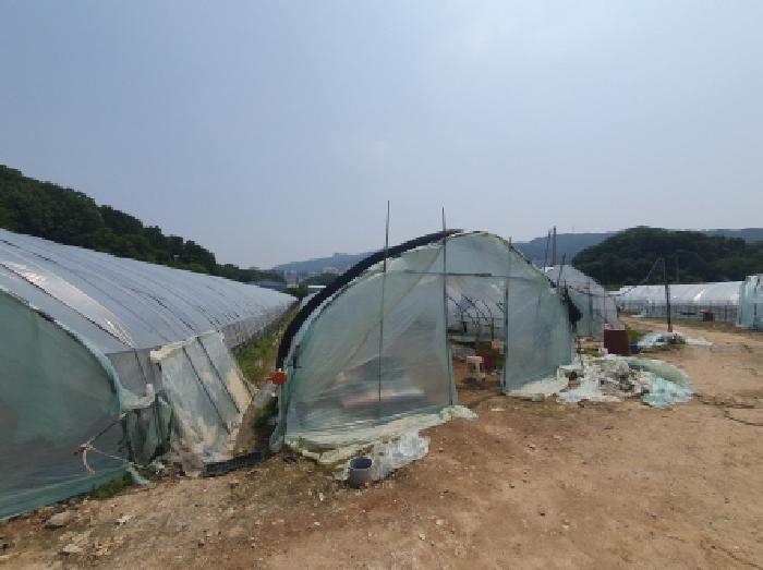 법원경매 2025타경71730 사진11 | 남양주시 평내동 385-1 전 경매