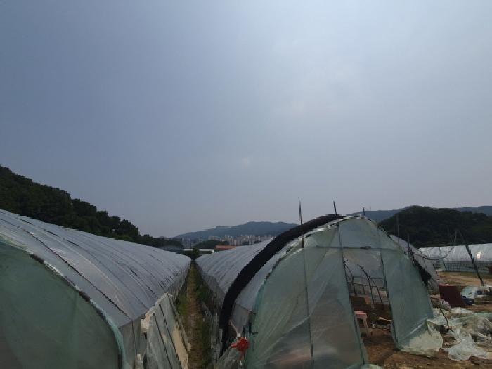 법원경매 2025타경71730 사진12 | 남양주시 평내동 385-1 전 경매