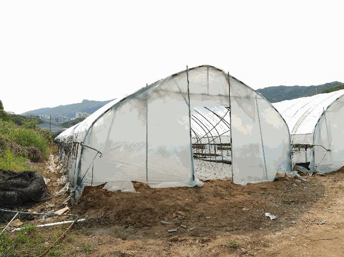 법원경매 2025타경71730 사진3 | 남양주시 평내동 385-1 전 경매
