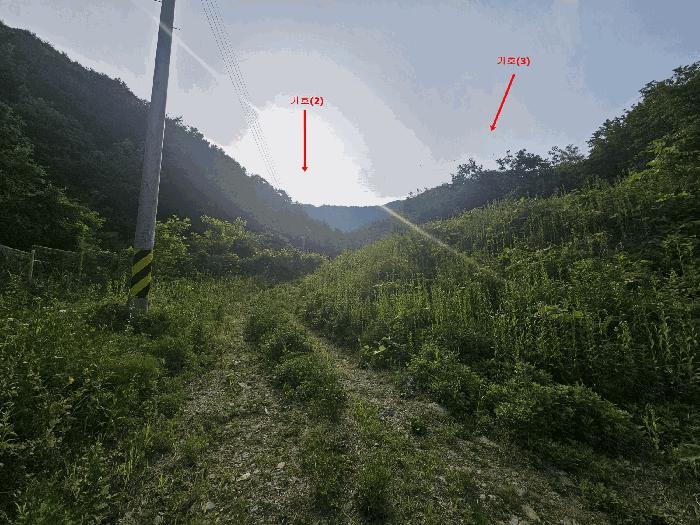법원경매 2025타경71748 사진2 | 가평군 청평면 삼회리 임야 경매