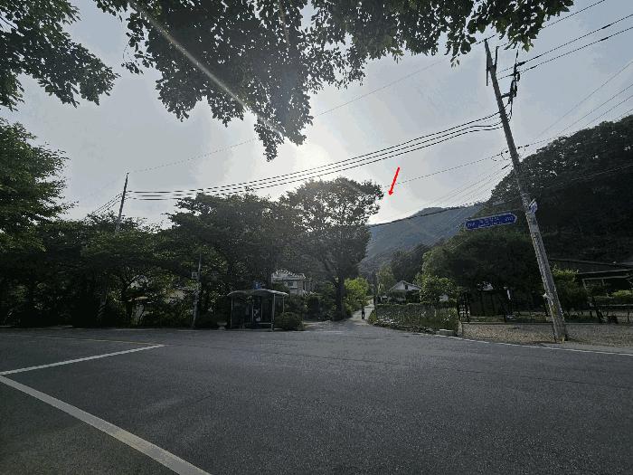 법원경매 2025타경71748 사진3 | 가평군 청평면 삼회리 임야 경매