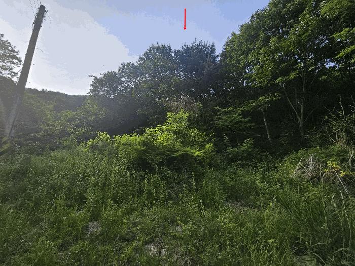 법원경매 2025타경71748 사진4 | 가평군 청평면 삼회리 임야 경매