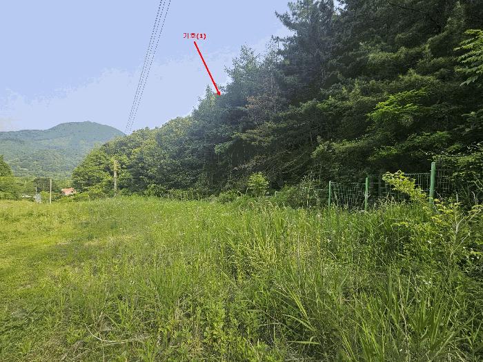 법원경매 2025타경71748 사진5 | 가평군 청평면 삼회리 임야 경매