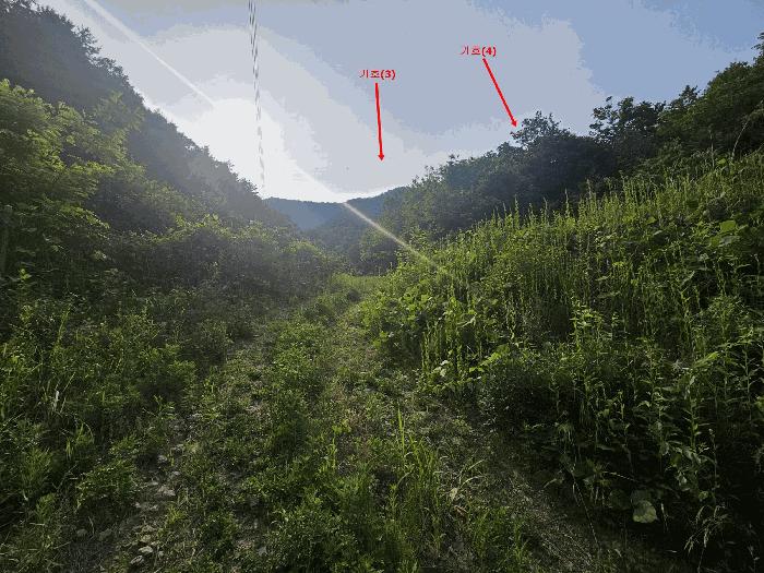 법원경매 2025타경71748 사진6 | 가평군 청평면 삼회리 임야 경매