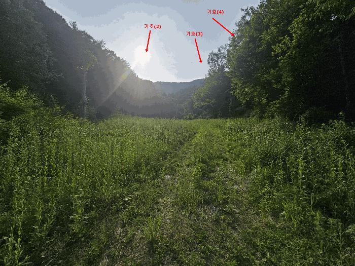 법원경매 2025타경71748 사진8 | 가평군 청평면 삼회리 임야 경매