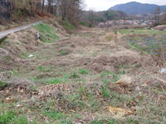 2024타경3503 법원경매 사진4 | 충남 금산군 전 경매
