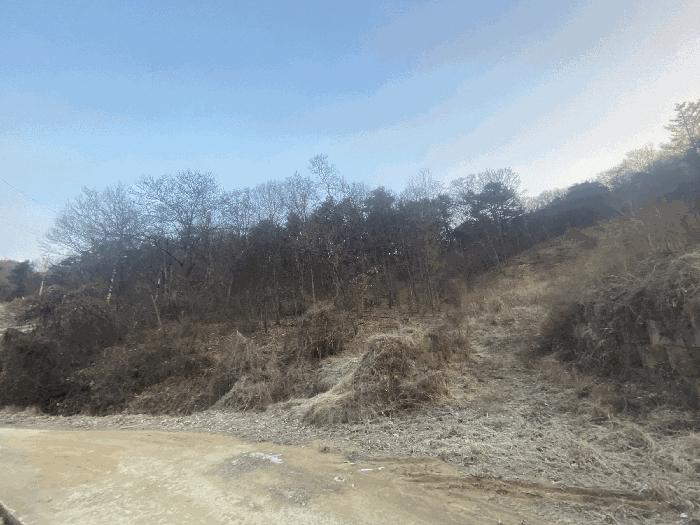 2025타경4088 법원경매 사진13 | 세종 연서면 임야 경매