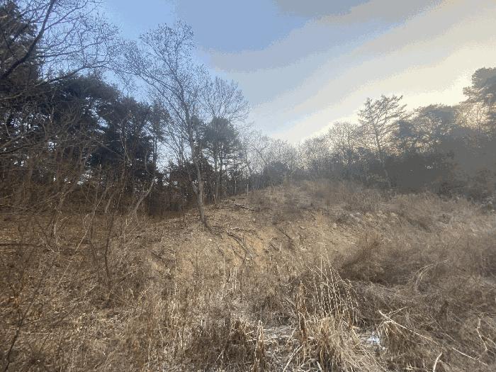 2025타경4088 법원경매 사진19 | 세종 부강면 전답 경매