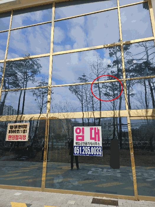 2025타경4283 법원경매 사진6 | 부산 사하구 근린상가 경매