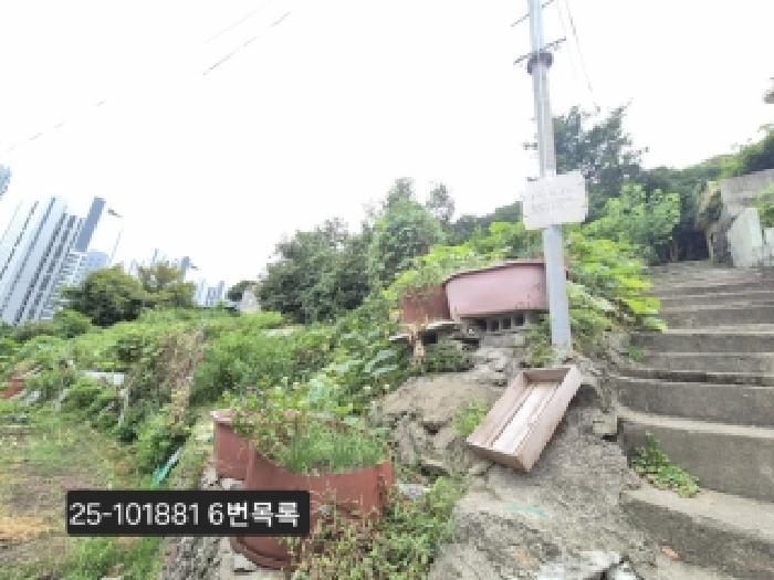 2025타경101881 법원경매 사진16 | 부산 서구 대지 경매