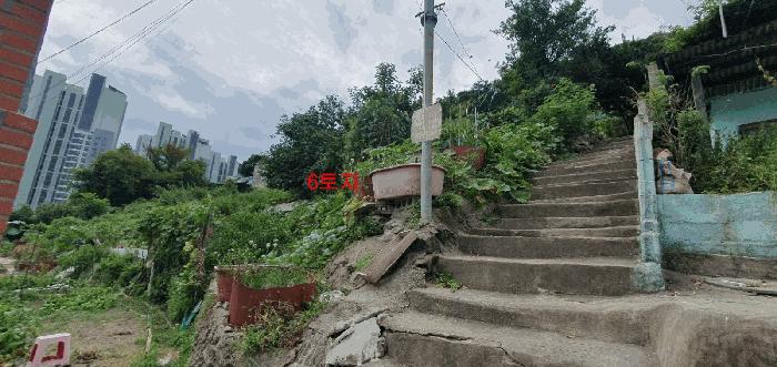 2025타경101881 법원경매 사진7 | 부산 서구 대지 경매