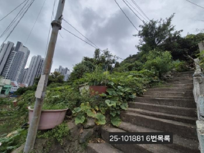 법원경매 2025타경101881 사진17 | 부산 서구 암남동 22-17 대지 경매