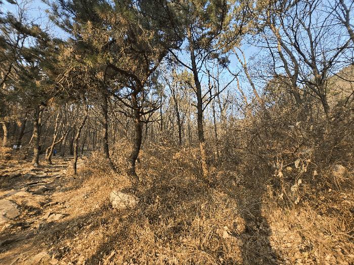 부산광역시 북구 만덕동 산6 법원경매 물건 대표사진