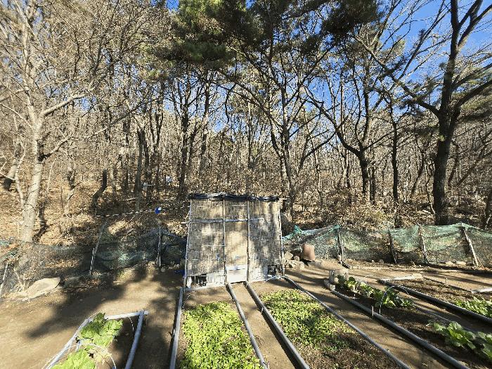 법원경매 2025타경102114 사진11 | 부산 북구 만덕동 임야 경매