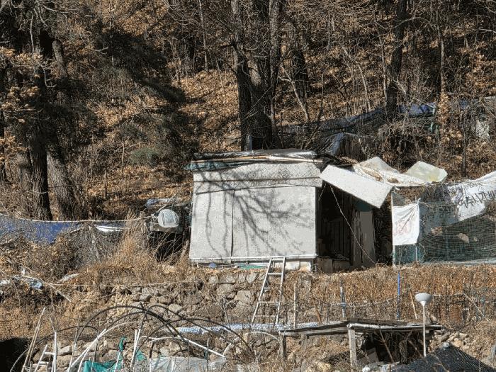 법원경매 2025타경102114 사진12 | 부산 북구 만덕동 임야 경매