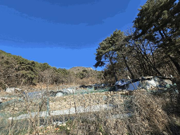 법원경매 2025타경102114 사진18 | 부산 북구 만덕동 임야 경매