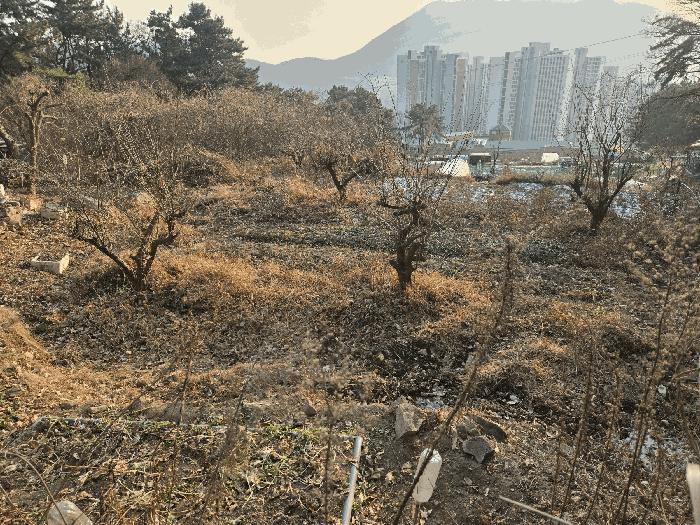 법원경매 2025타경102114 사진6 | 부산 북구 만덕동 임야 경매