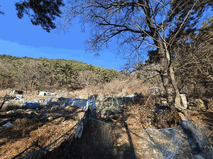 법원경매 2025타경102114 사진9 | 부산 북구 만덕동 임야 경매