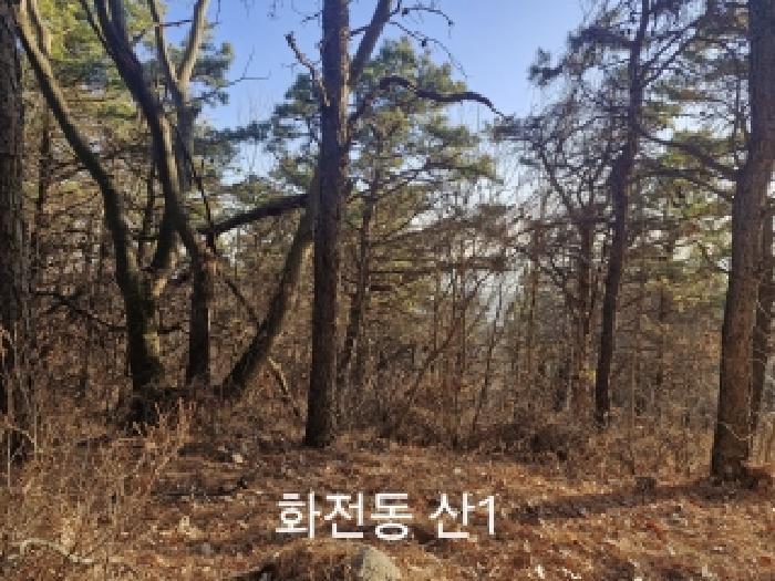 법원경매 2025타경102329 사진3 | 부산 강서구 송정동 183 임야 경매