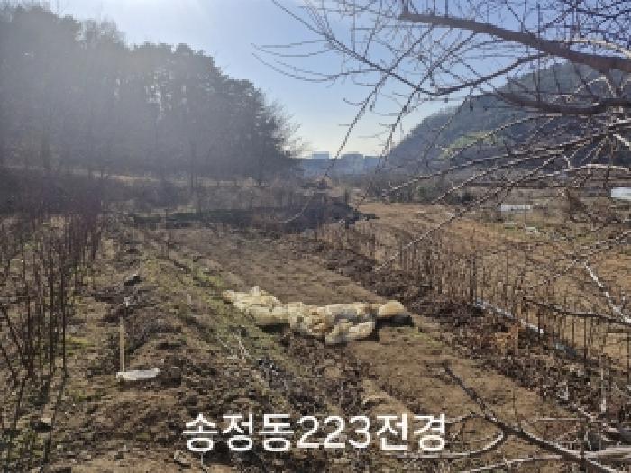 법원경매 2025타경102329 사진4 | 부산 강서구 송정동 183 임야 경매