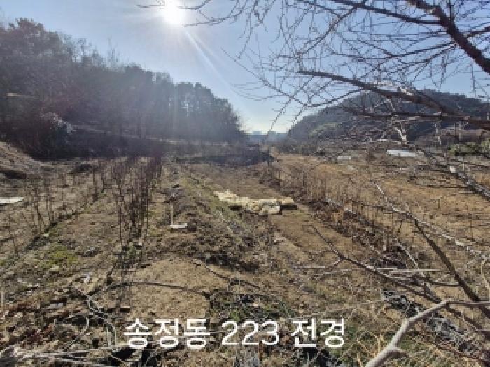 법원경매 2025타경102329 사진5 | 부산 강서구 송정동 183 임야 경매