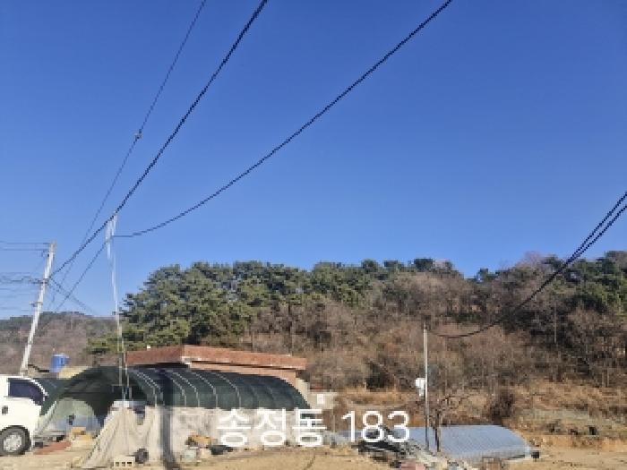 법원경매 2025타경102329 사진7 | 부산 강서구 송정동 183 임야 경매