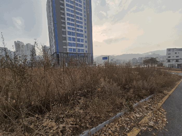 법원경매 2025타경504025 사진2 | 유성구 둔곡동 424-4 대지 경매