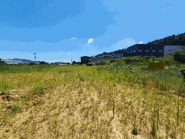 법원경매 2025타경972 사진19 | 영천시 금호읍 삼호리 29 단독주택 경매