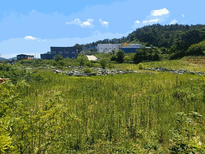 법원경매 2025타경972 사진12 | 칠곡군 가산면 송학리 727-1 묘지 경매
