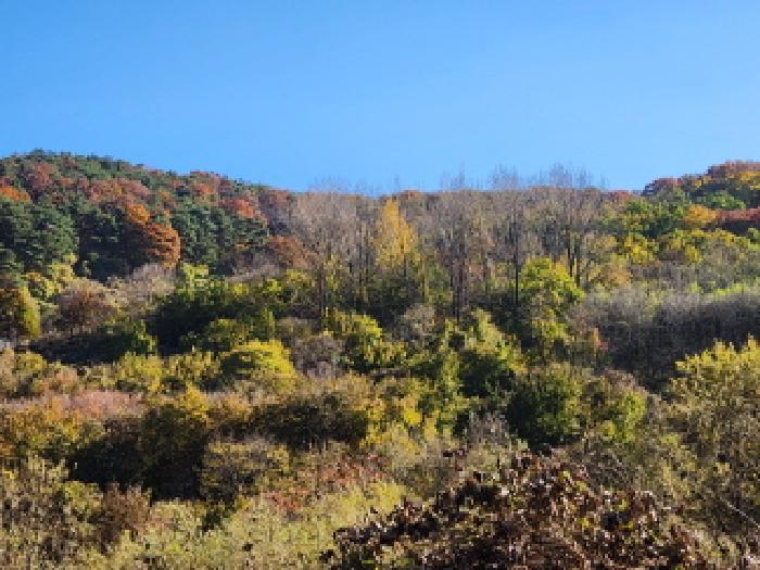 법원경매 2025타경9465 사진4 | 칠곡군 가산면 가산리 807 전 경매