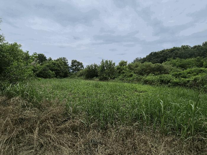 경상북도 성주군 성주읍 용산리 784-1 법원경매 물건 대표사진