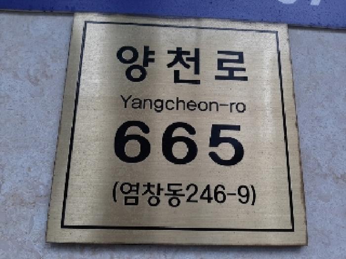 법원경매 2025타경11381 사진7 | 서울 강서구 염창동 246-9 다세대주택 경매