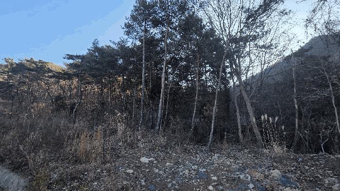 2025타경12546 법원경매 사진4 | 경남 김해시 임야 경매