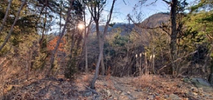2025타경12546 법원경매 사진5 | 경남 김해시 임야 경매
