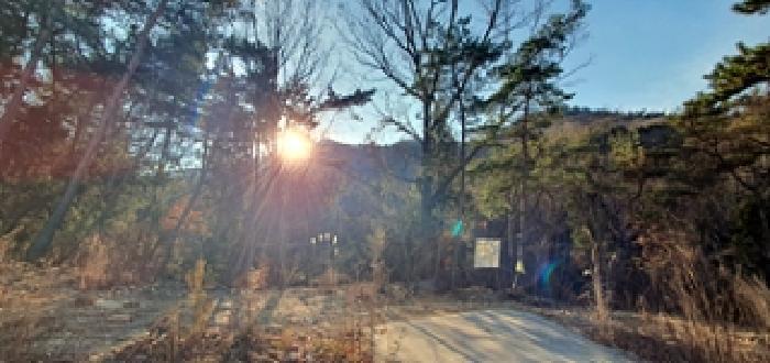 2025타경12546 법원경매 사진6 | 경남 김해시 임야 경매