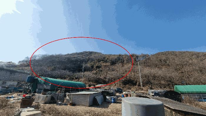 경상남도 김해시 생림면 도요리 산11-17 법원경매 물건 대표사진
