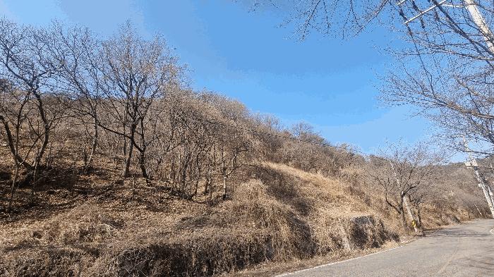 2026타경20 법원경매 사진2 | 경남 김해시 임야 경매