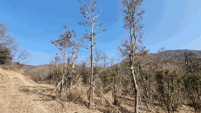 2026타경20 법원경매 사진5 | 경남 김해시 임야 경매