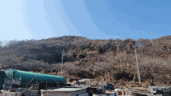2026타경20 법원경매 사진6 | 경남 김해시 임야 경매