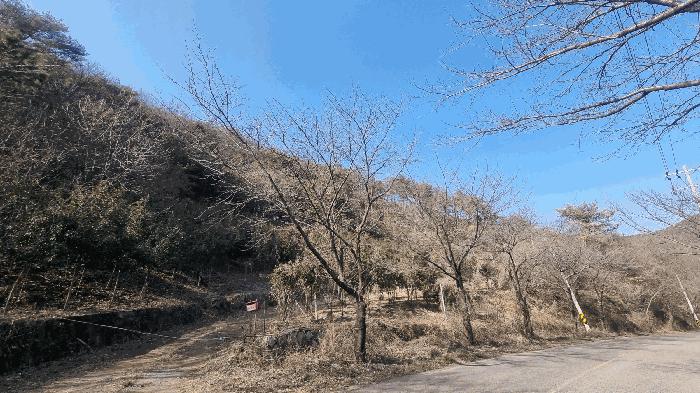 2026타경20 법원경매 사진7 | 경남 김해시 임야 경매