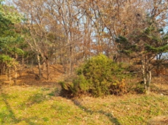 법원경매 2024타경94546 사진10 | 화성시 봉담읍 마하리 임야 경매